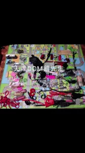 天津调教收母狗